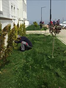 Çevre Temizliği ve Peyzaj İşlemleri